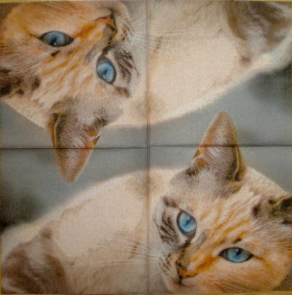 082 Cats - 3-ply - Atelier